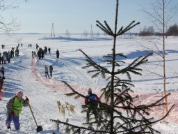 Koiravaljakkokisat 